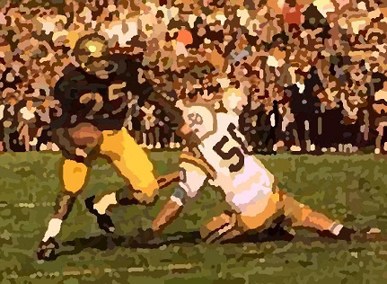 1961 Rose Bowl, Washington vs. Minnesota